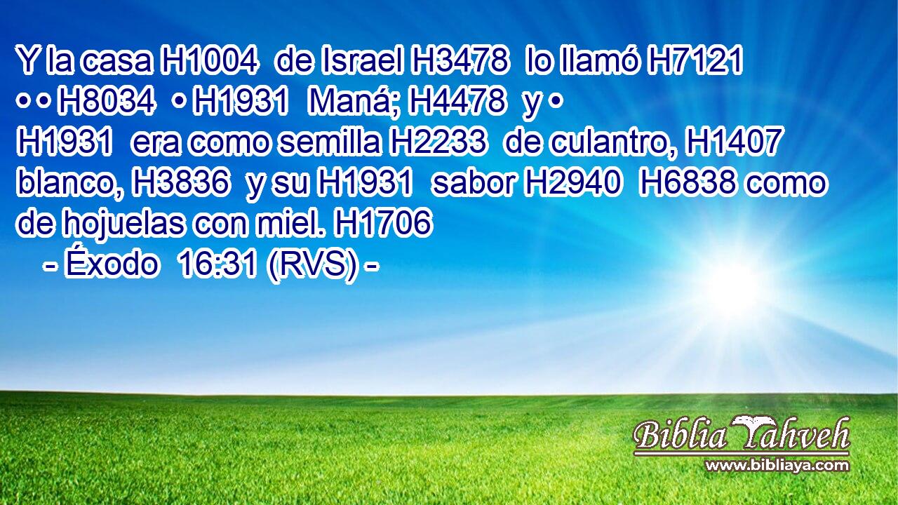 Y la casa H1004  de Israel H3478  lo llamó H7121  • • H8034  • H1931  Maná; H4478  y • H1931  era como semilla H2233  de culantro, H1407  blanco, H3836  y su H1931  sabor H2940  H6838 como de hojuelas con miel. H1706  
