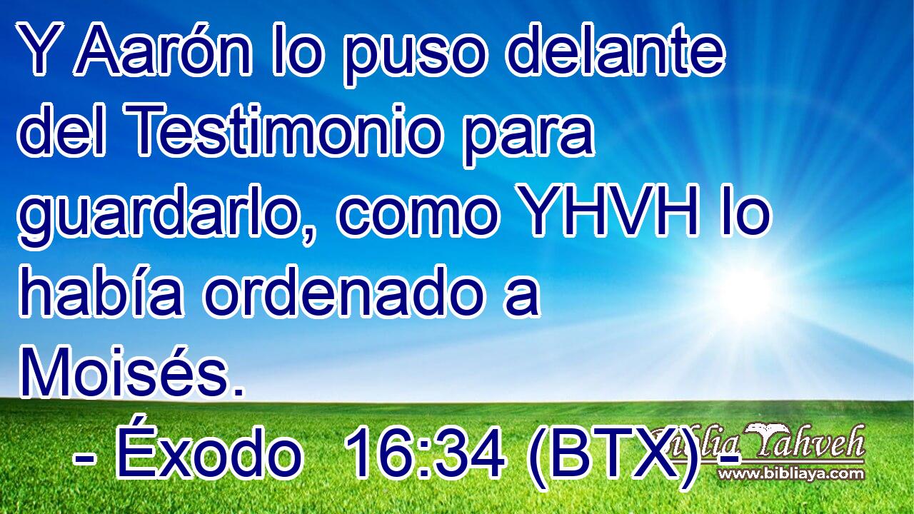 Y Aarón lo puso delante del Testimonio para guardarlo, como YHVH lo había ordenado a Moisés.