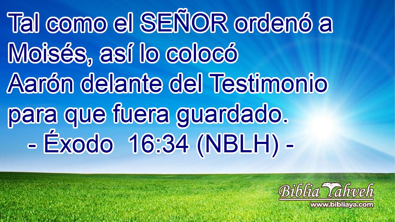  Tal como el SEÑOR ordenó a Moisés, así lo colocó Aarón delante del Testimonio para que fuera guardado. 