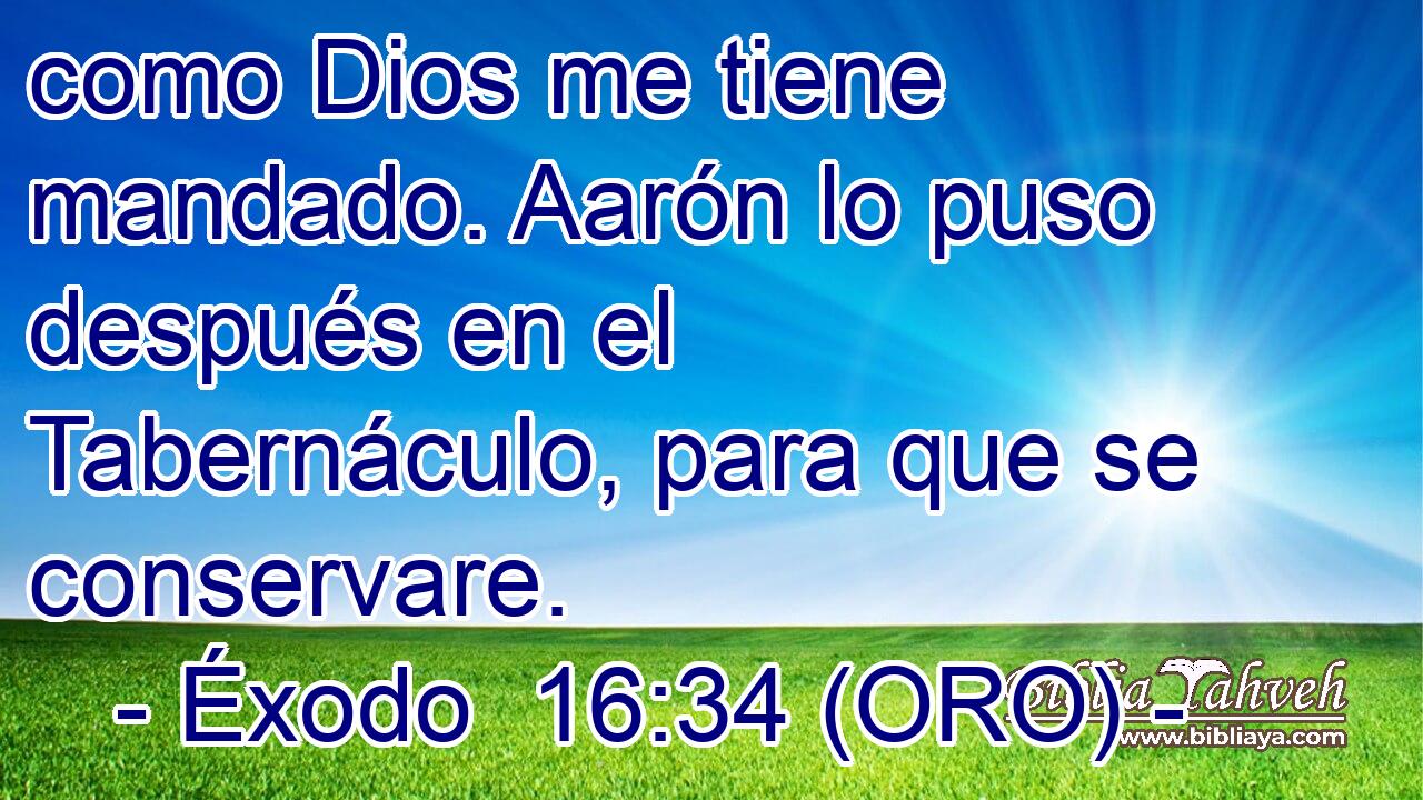  como Dios me tiene mandado. Aarón lo puso después en el Tabernáculo, para que se conservare. 