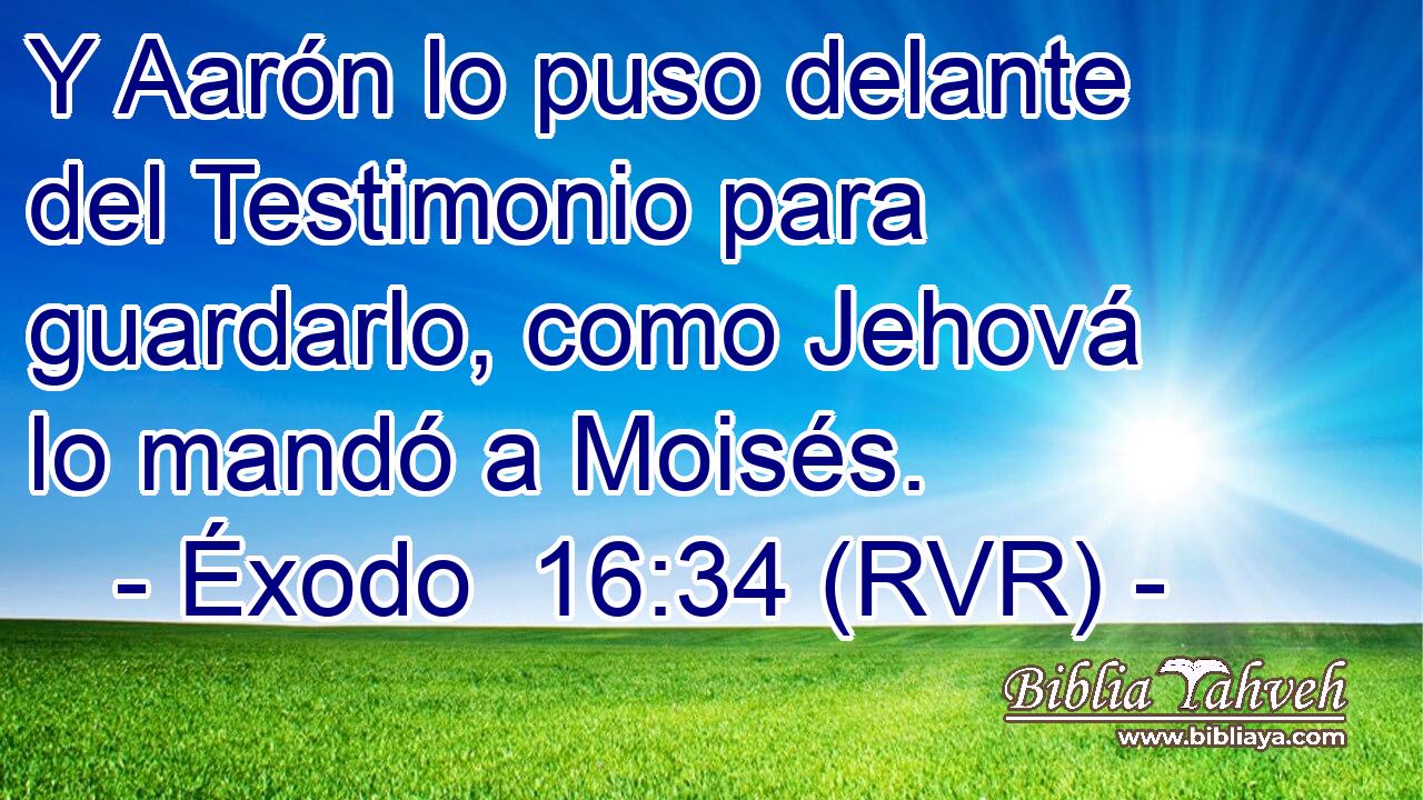Y Aarón lo puso delante del Testimonio para guardarlo, como Jehová lo mandó a Moisés.