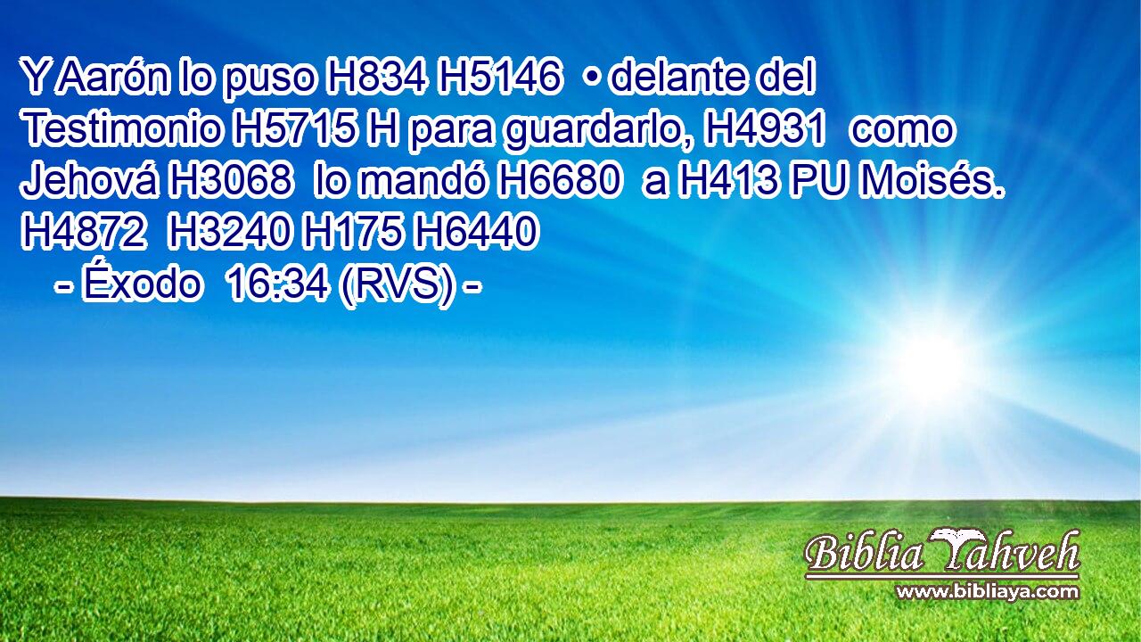 Y Aarón lo puso H834 H5146  • delante del Testimonio H5715 H para guardarlo, H4931  como Jehová H3068  lo mandó H6680  a H413 PU Moisés. H4872  H3240 H175 H6440 