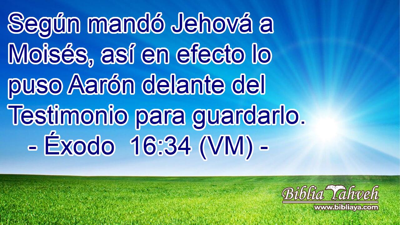 Según mandó Jehová a Moisés, así en efecto lo puso Aarón delante del Testimonio para guardarlo. 