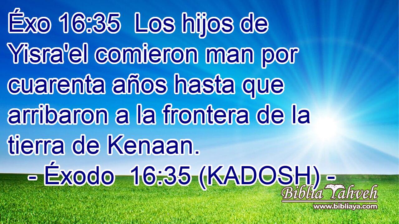  Los hijos de Yisra'el comieron man por cuarenta años hasta que arribaron a la frontera de la tierra de Kenaan. 