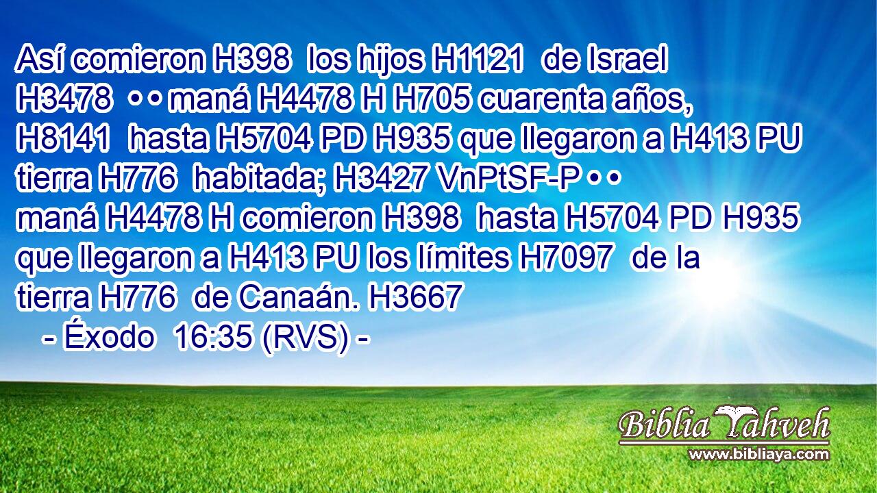 Así comieron H398  los hijos H1121  de Israel H3478  • • maná H4478 H H705 cuarenta años, H8141  hasta H5704 PD H935 que llegaron a H413 PU tierra H776  habitada; H3427 VnPtSF-P • • maná H4478 H comieron H398  hasta H5704 PD H935 que llegaron a H413 PU los límites H7097  de la tierra H776  de Canaán. H3667  