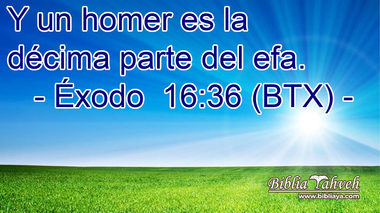 Y un homer es la décima parte del efa.