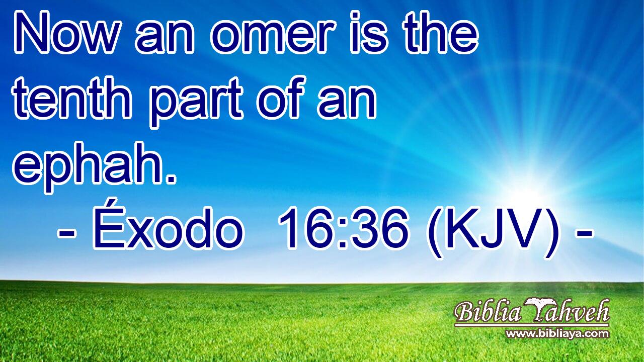 Now an omer is the tenth part of an ephah.