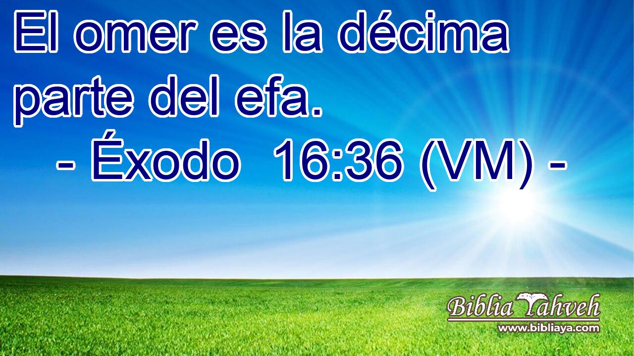  El omer es la décima parte del efa. 