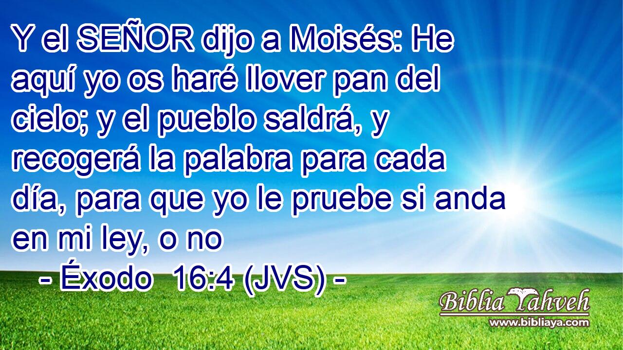 Y el SEÑOR dijo a Moisés: He aquí yo os haré llover pan del cielo; y el pueblo saldrá, y recogerá la palabra para cada día, para que yo le pruebe si anda en mi ley, o no