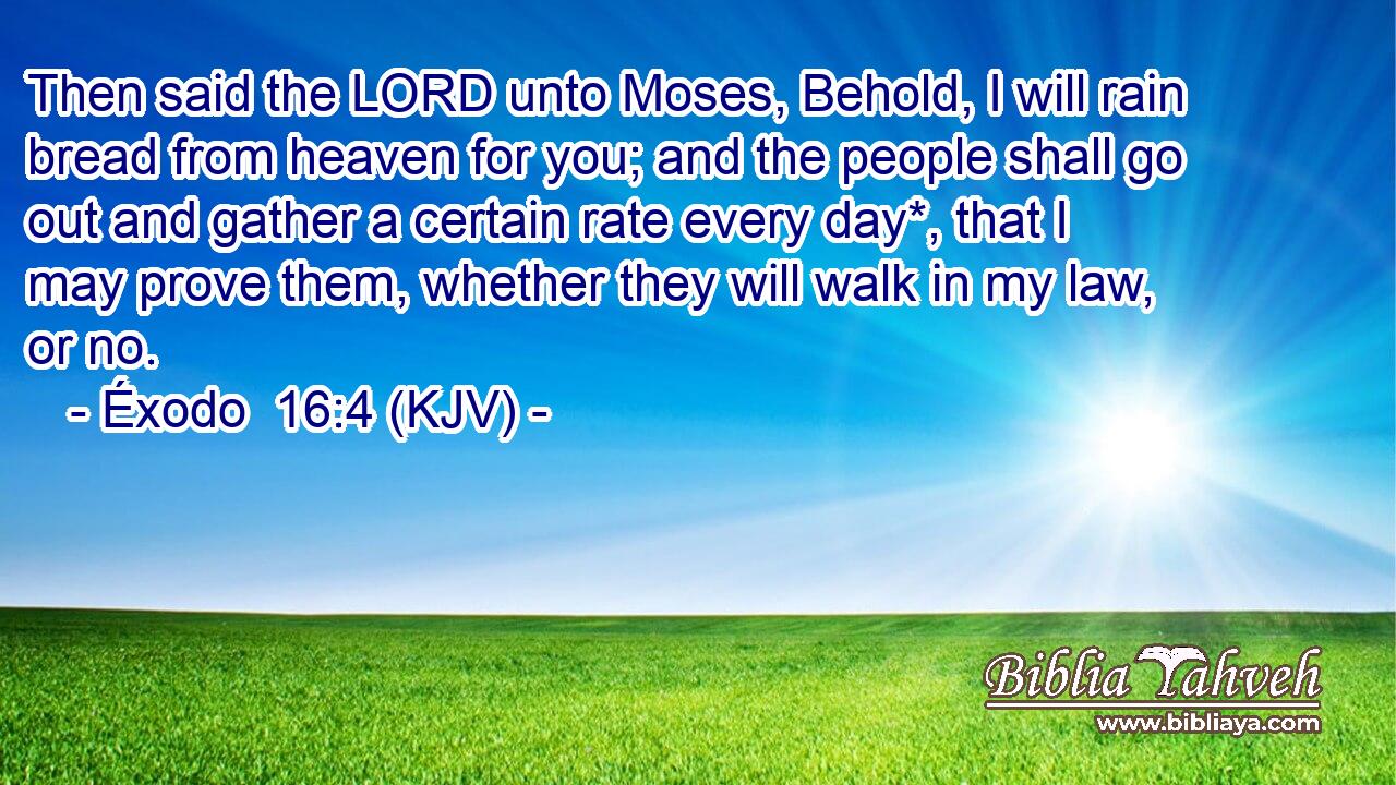 Then said the LORD unto Moses, Behold, I will rain bread from heaven for you; and the people shall go out and gather a certain rate every day*, that I may prove them, whether they will walk in my law, or no.