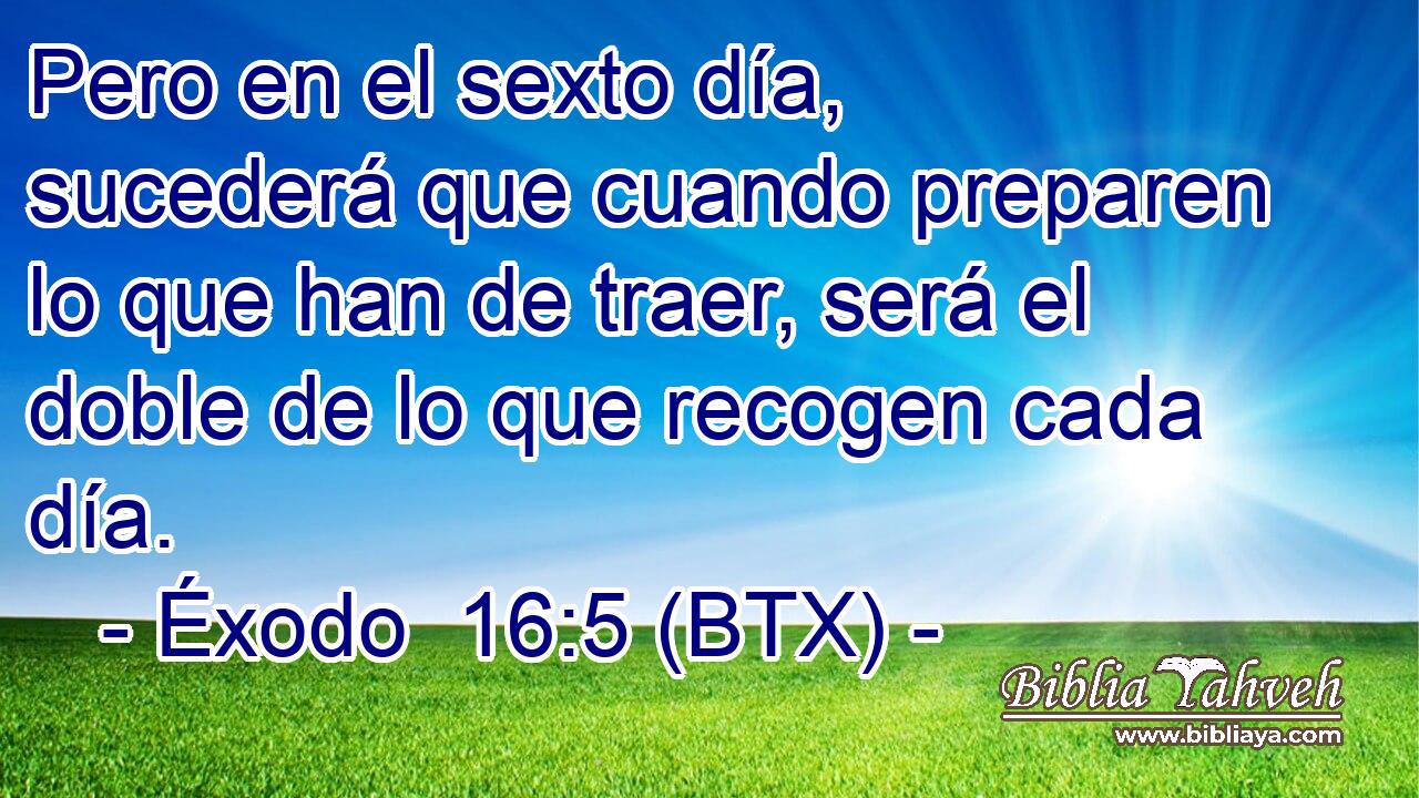 Pero en el sexto día, sucederá que cuando preparen lo que han de traer, será el doble de lo que recogen cada día.