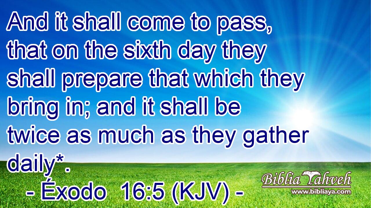 And it shall come to pass, that on the sixth day they shall prepare that which they bring in; and it shall be twice as much as they gather daily*.