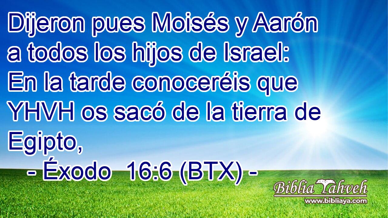 Dijeron pues Moisés y Aarón a todos los hijos de Israel: En la tarde conoceréis que YHVH os sacó de la tierra de Egipto,