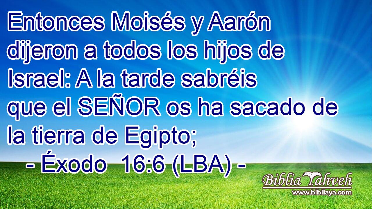 Entonces Moisés y Aarón dijeron a todos los hijos de Israel: A la tarde sabréis que el SEÑOR os ha sacado de la tierra de Egipto;