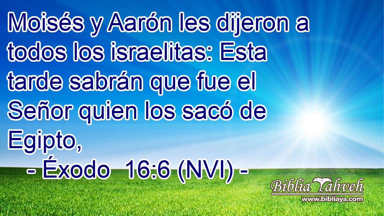  Moisés y Aarón les dijeron a todos los israelitas: Esta tarde sabrán que fue el Señor quien los sacó de Egipto, 
