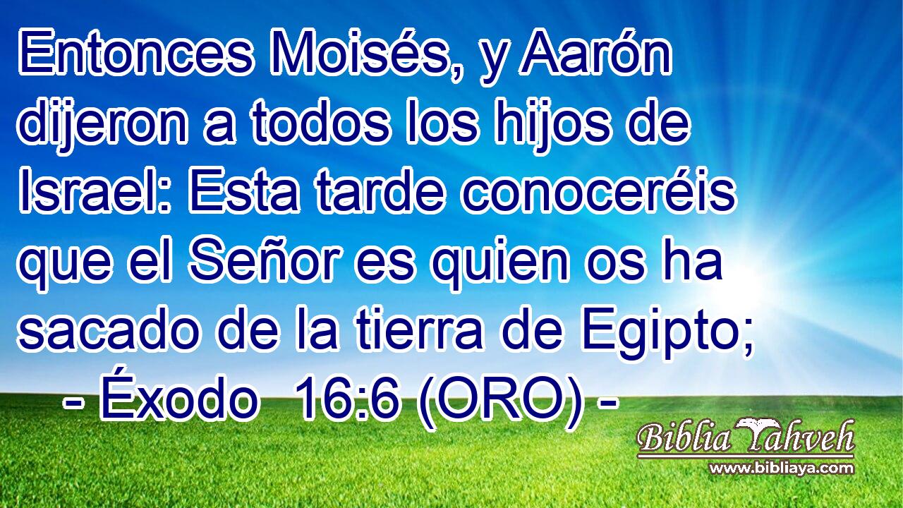  Entonces Moisés, y Aarón dijeron a todos los hijos de Israel: Esta tarde conoceréis que el Señor es quien os ha sacado de la tierra de Egipto; 