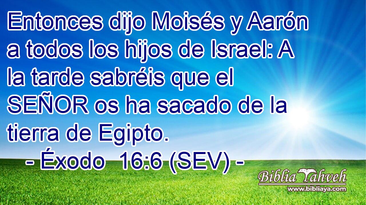 Entonces dijo Moisés y Aarón a todos los hijos de Israel: A la tarde sabréis que el SEÑOR os ha sacado de la tierra de Egipto.