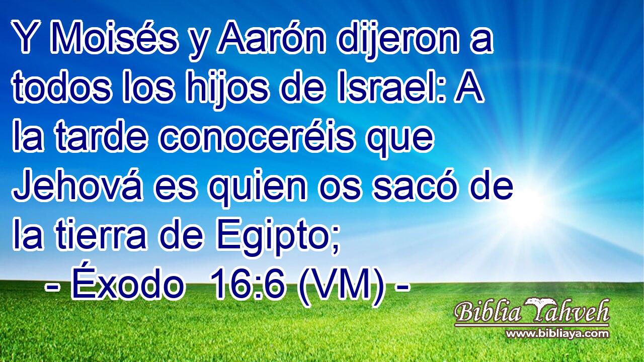  Y Moisés y Aarón dijeron a todos los hijos de Israel: A la tarde conoceréis que Jehová es quien os sacó de la tierra de Egipto; 