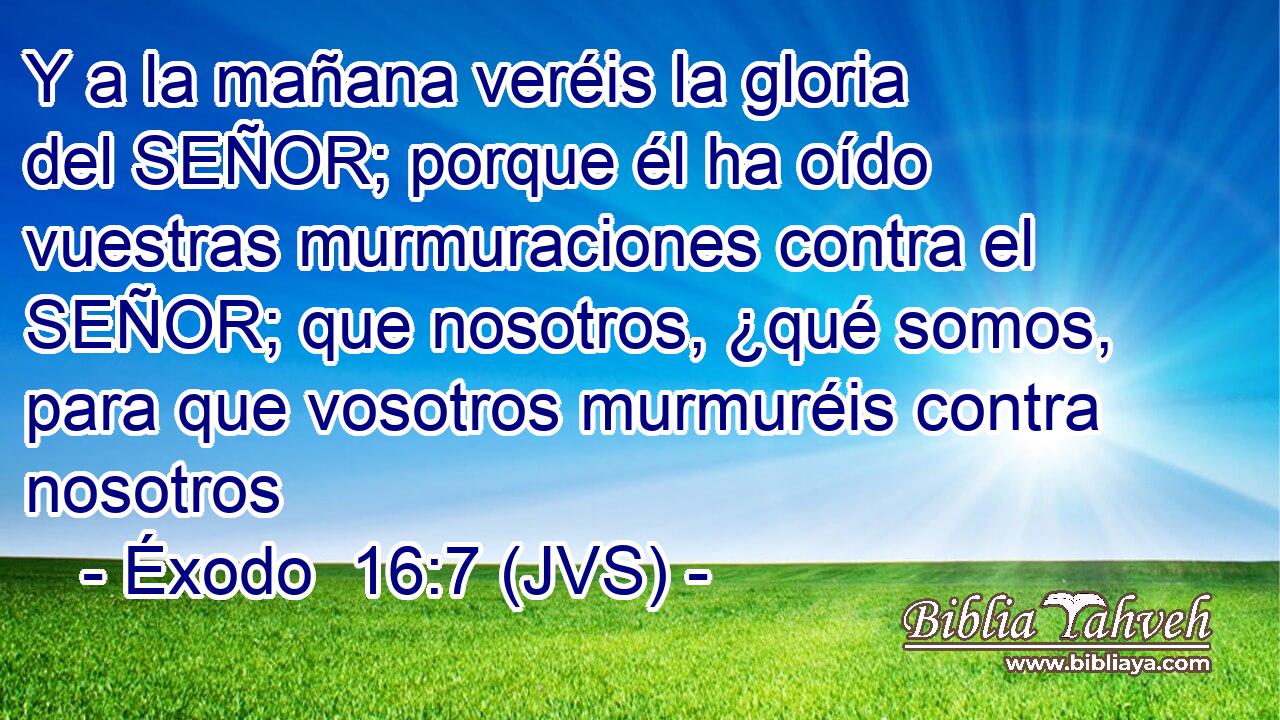 Y a la mañana veréis la gloria del SEÑOR; porque él ha oído vuestras murmuraciones contra el SEÑOR; que nosotros, ¿qué somos, para que vosotros murmuréis contra nosotros
