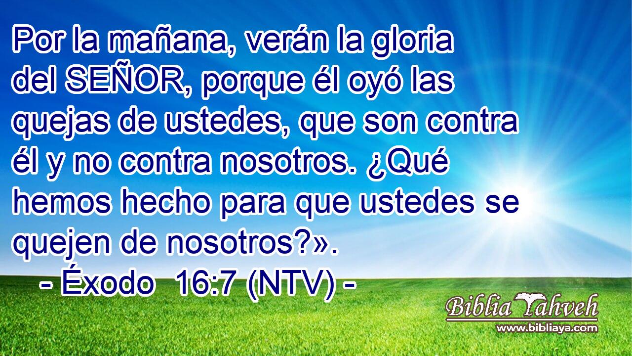 Por la mañana, verán la gloria del SEÑOR, porque él oyó las quejas de ustedes, que son contra él y no contra nosotros. ¿Qué hemos hecho para que ustedes se quejen de nosotros?».