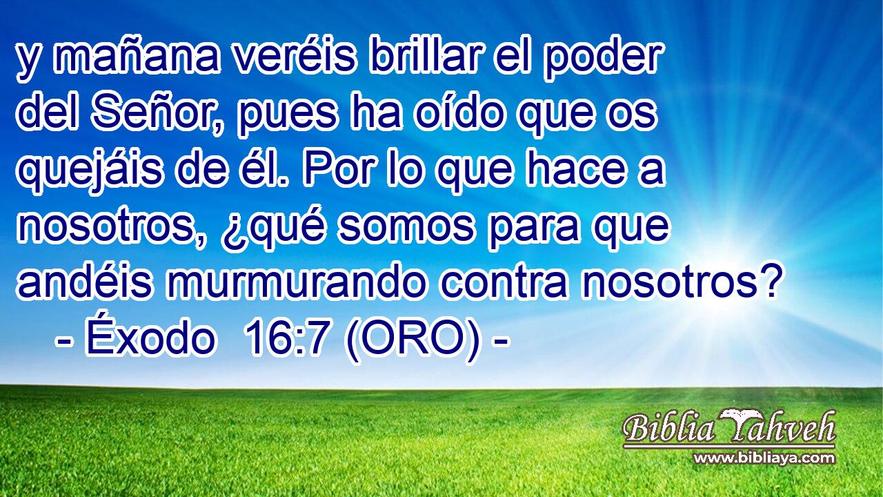  y mañana veréis brillar el poder del Señor, pues ha oído que os quejáis de él. Por lo que hace a nosotros, ¿qué somos para que andéis murmurando contra nosotros? 