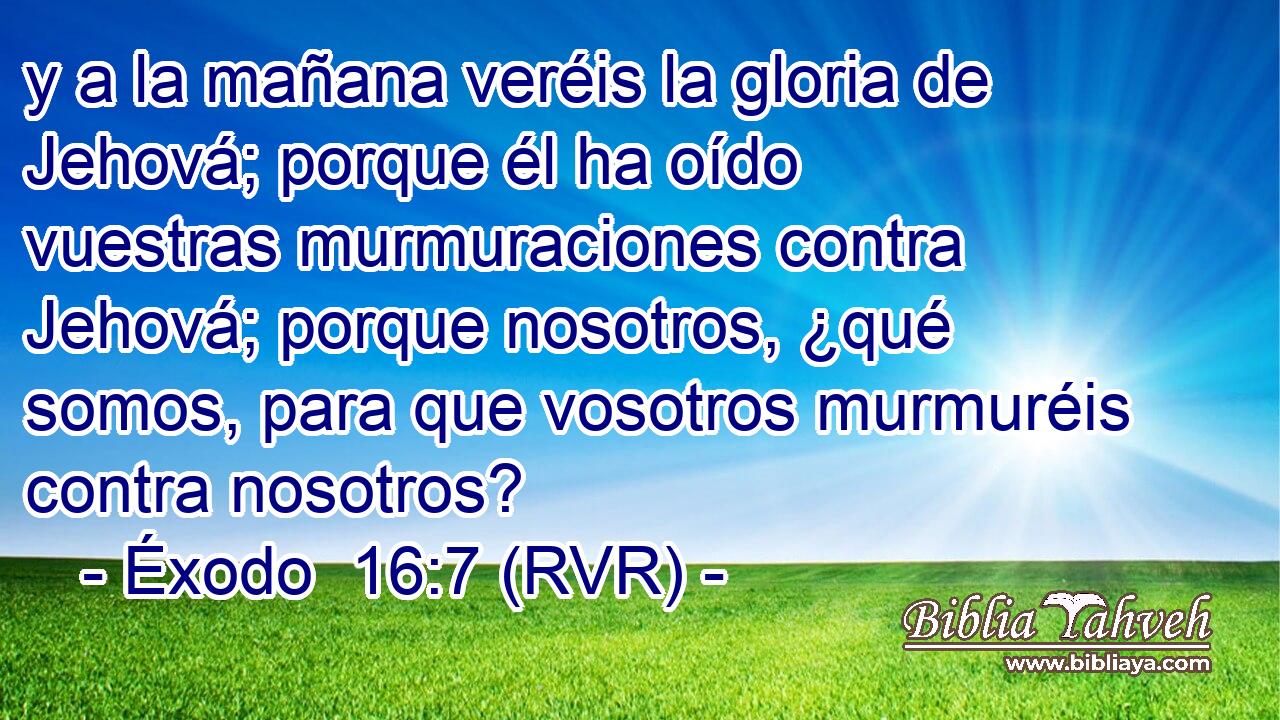 y a la mañana veréis la gloria de Jehová; porque él ha oído vuestras murmuraciones contra Jehová; porque nosotros, ¿qué somos, para que vosotros murmuréis contra nosotros?