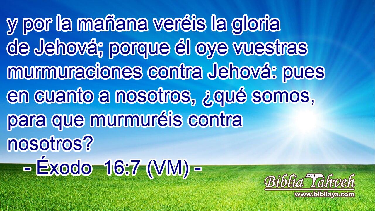  y por la mañana veréis la gloria de Jehová; porque él oye vuestras murmuraciones contra Jehová: pues en cuanto a nosotros, ¿qué somos, para que murmuréis contra nosotros? 
