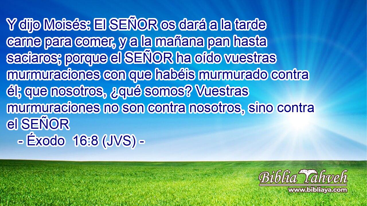 Y dijo Moisés: El SEÑOR os dará a la tarde carne para comer, y a la mañana pan hasta saciaros; porque el SEÑOR ha oído vuestras murmuraciones con que habéis murmurado contra él; que nosotros, ¿qué somos? Vuestras murmuraciones no son contra nosotros, sino contra el SEÑOR