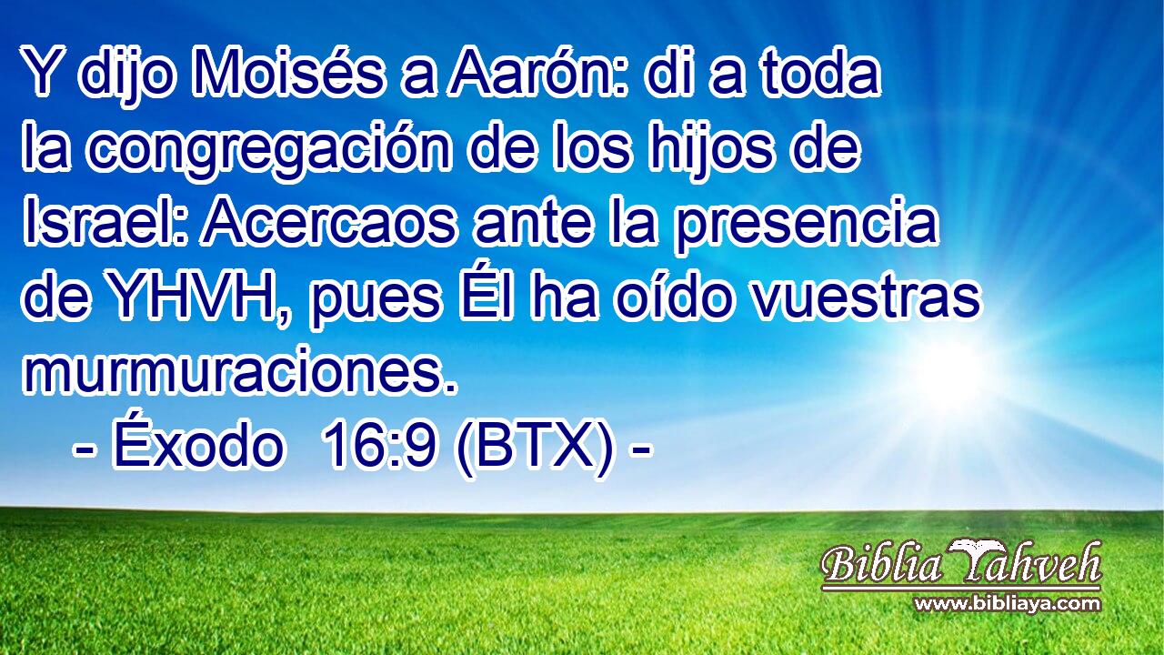 Y dijo Moisés a Aarón: di a toda la congregación de los hijos de Israel: Acercaos ante la presencia de YHVH, pues Él ha oído vuestras murmuraciones.