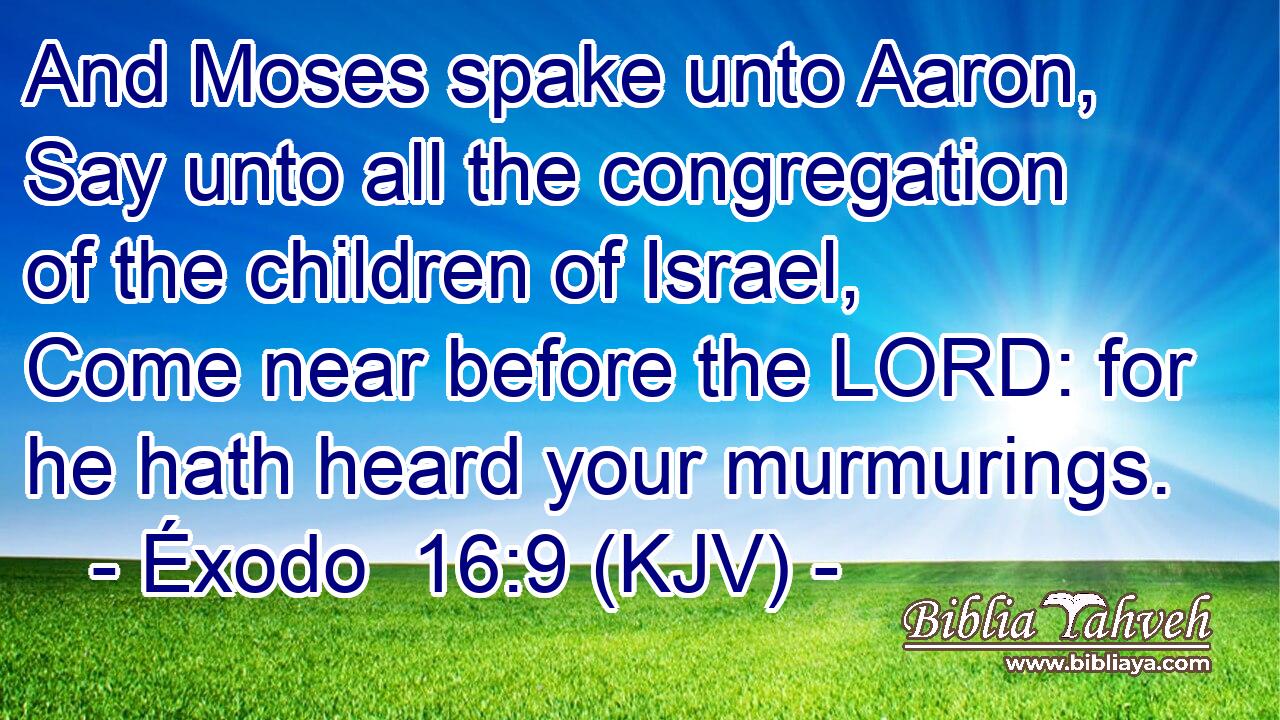 And Moses spake unto Aaron, Say unto all the congregation of the children of Israel, Come near before the LORD: for he hath heard your murmurings.