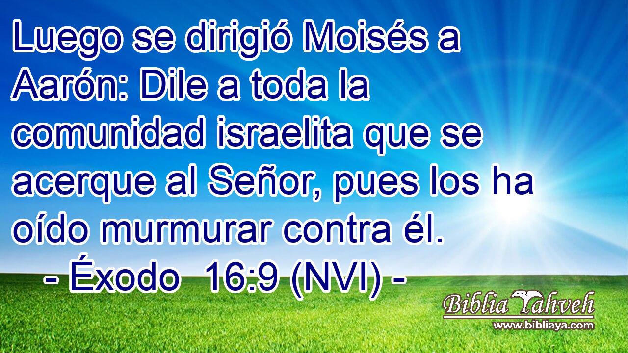  Luego se dirigió Moisés a Aarón: Dile a toda la comunidad israelita que se acerque al Señor, pues los ha oído murmurar contra él. 