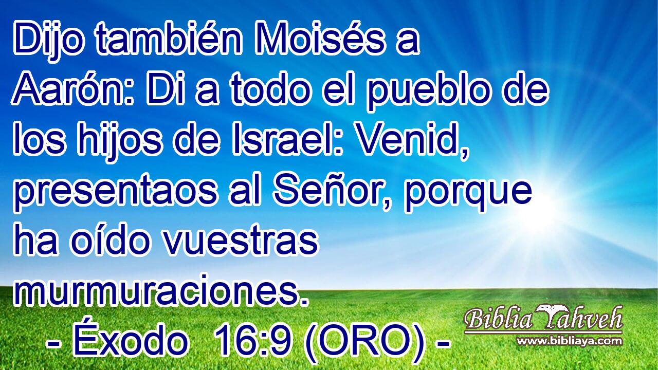  Dijo también Moisés a Aarón: Di a todo el pueblo de los hijos de Israel: Venid, presentaos al Señor, porque ha oído vuestras murmuraciones. 