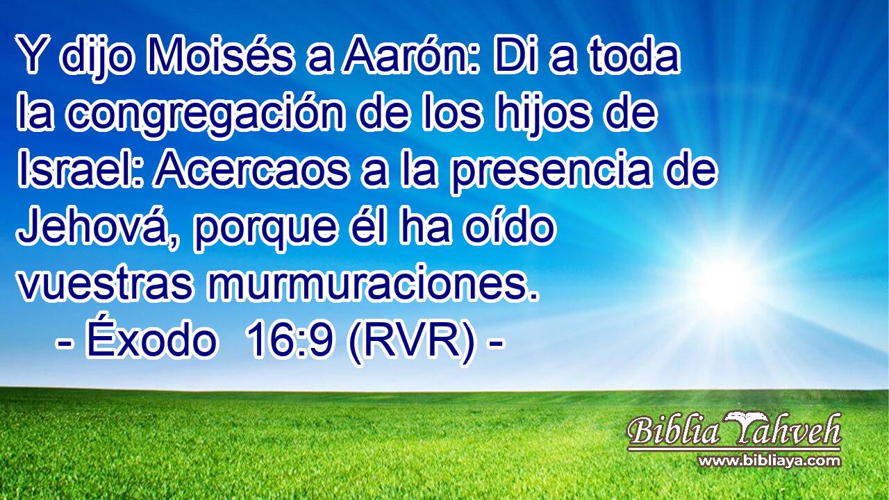 Y dijo Moisés a Aarón: Di a toda la congregación de los hijos de Israel: Acercaos a la presencia de Jehová, porque él ha oído vuestras murmuraciones.