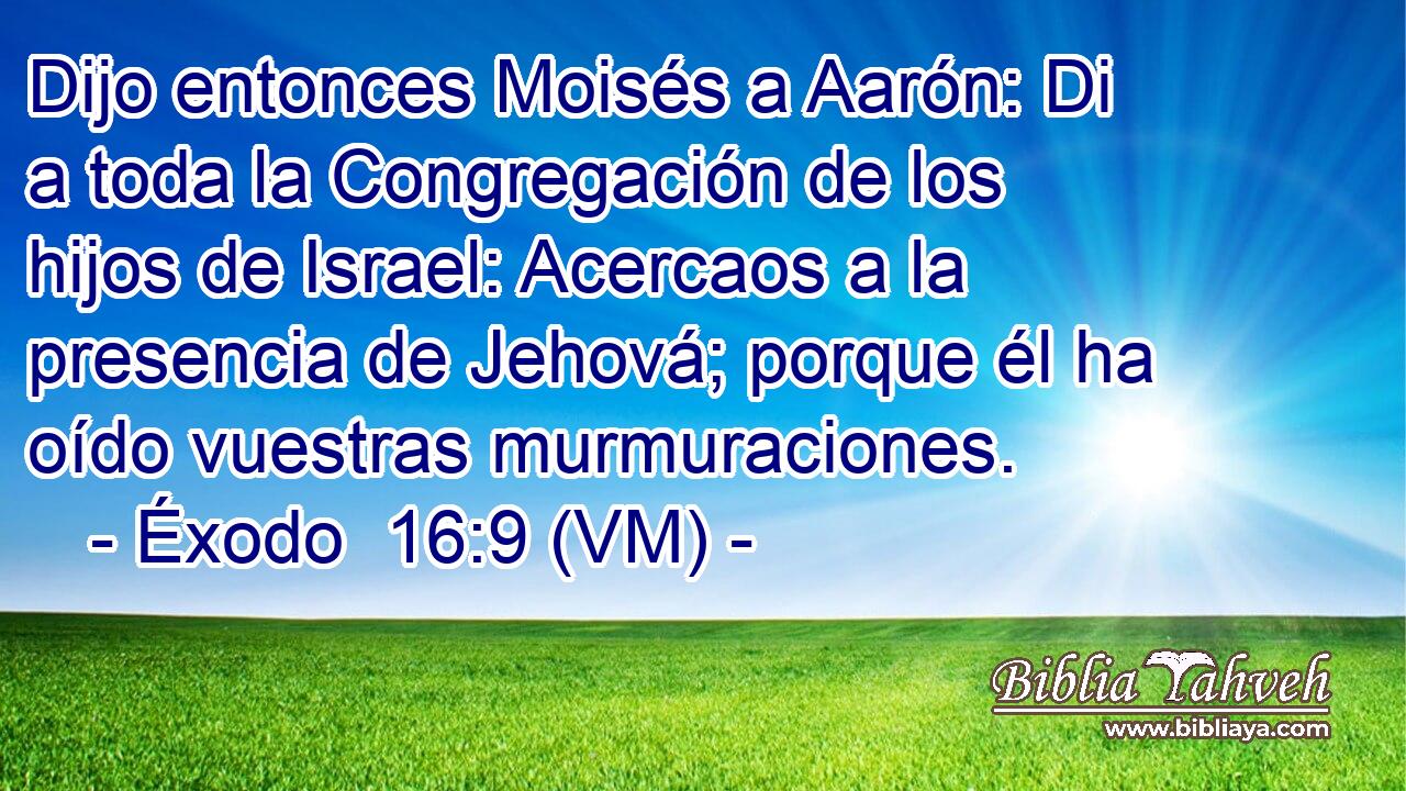  Dijo entonces Moisés a Aarón: Di a toda la Congregación de los hijos de Israel: Acercaos a la presencia de Jehová; porque él ha oído vuestras murmuraciones. 