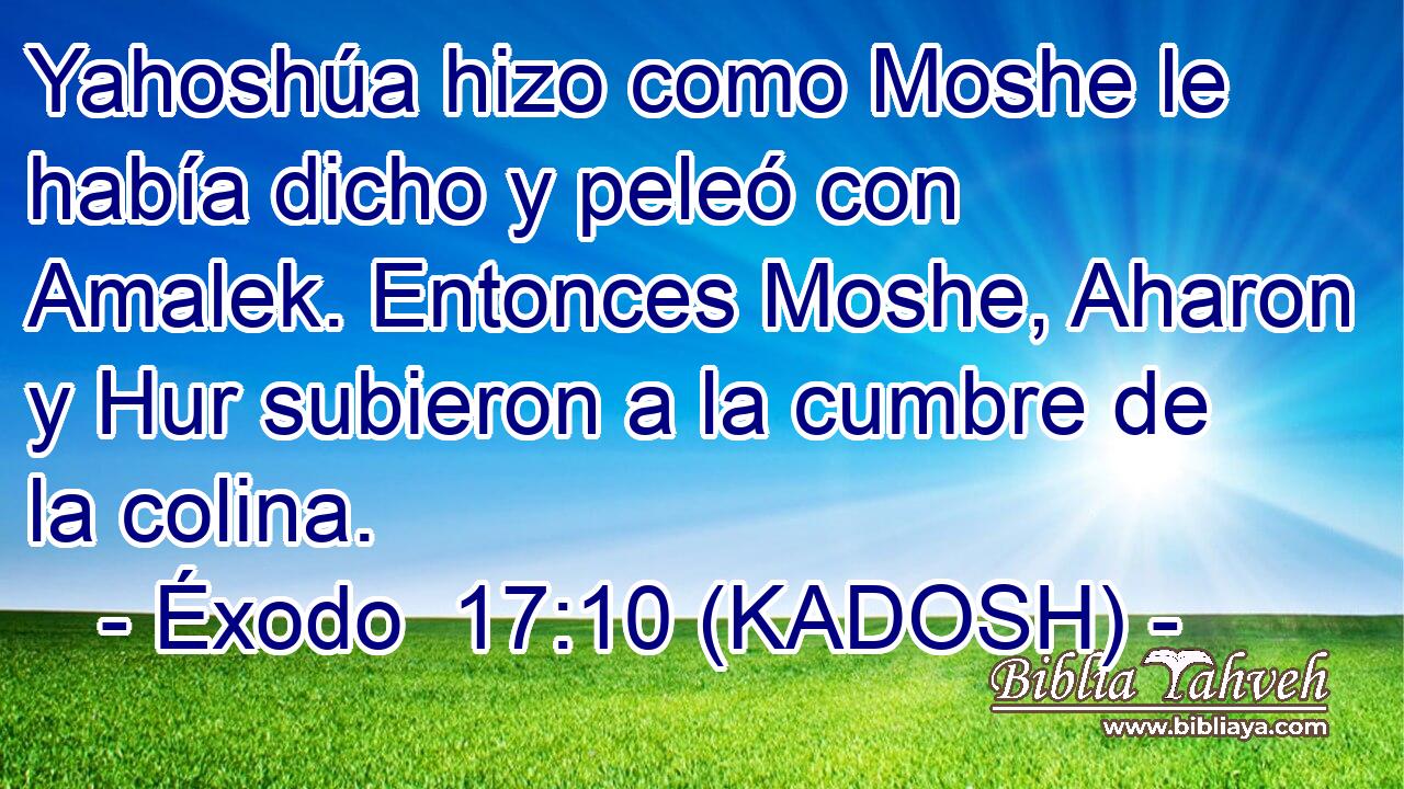  Yahoshúa hizo como Moshe le había dicho y peleó con Amalek. Entonces Moshe, Aharon y Hur subieron a la cumbre de la colina. 