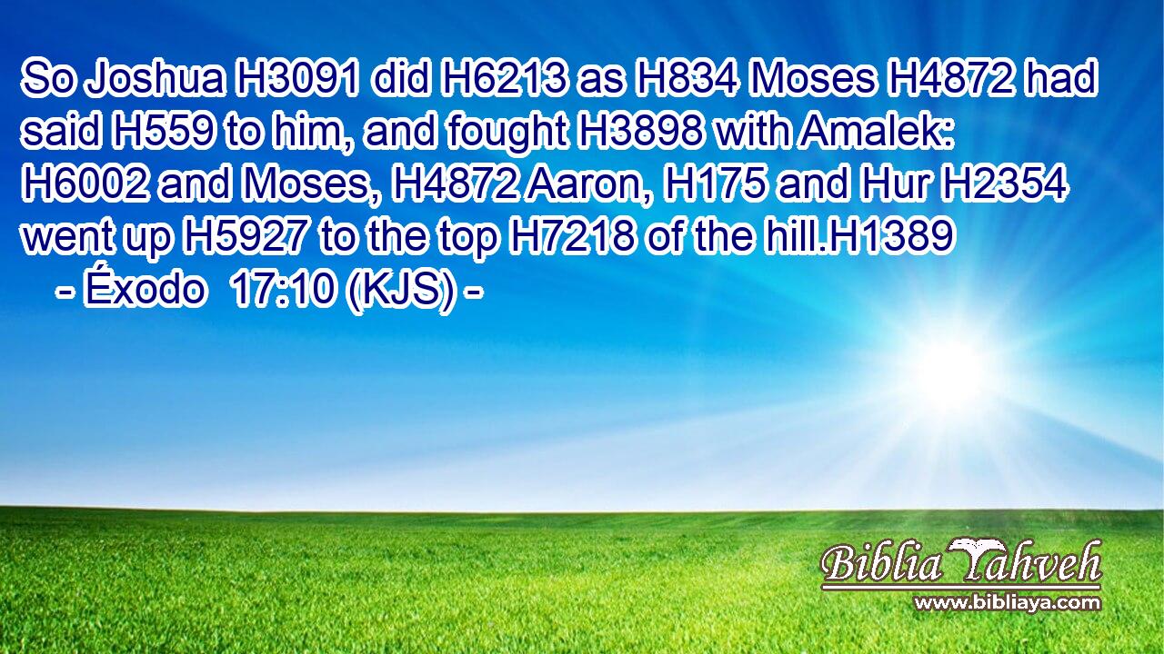 So Joshua H3091 did H6213 as H834 Moses H4872 had said H559 to him, and fought H3898 with Amalek: H6002 and Moses, H4872 Aaron, H175 and Hur H2354 went up H5927 to the top H7218 of the hill.H1389