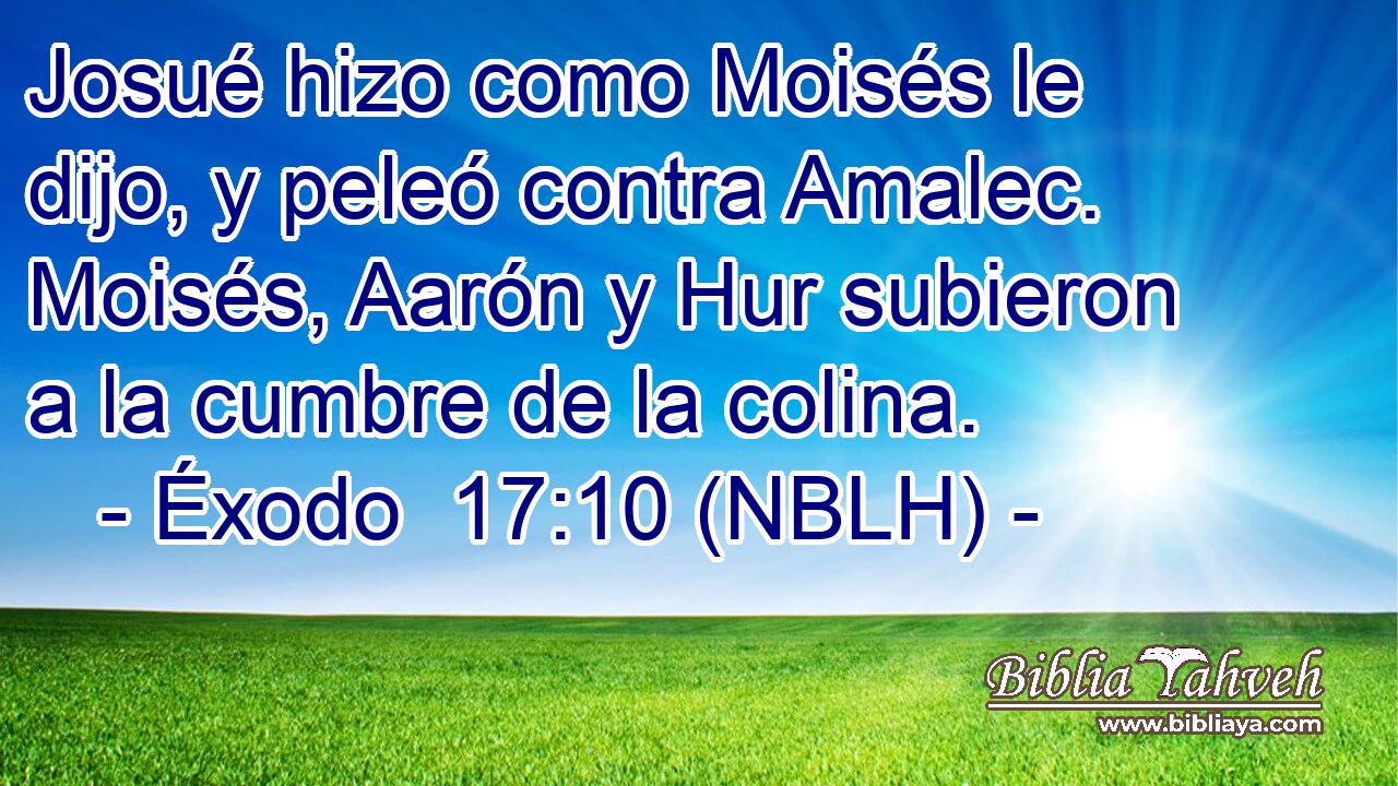  Josué hizo como Moisés le dijo, y peleó contra Amalec. Moisés, Aarón y Hur subieron a la cumbre de la colina. 