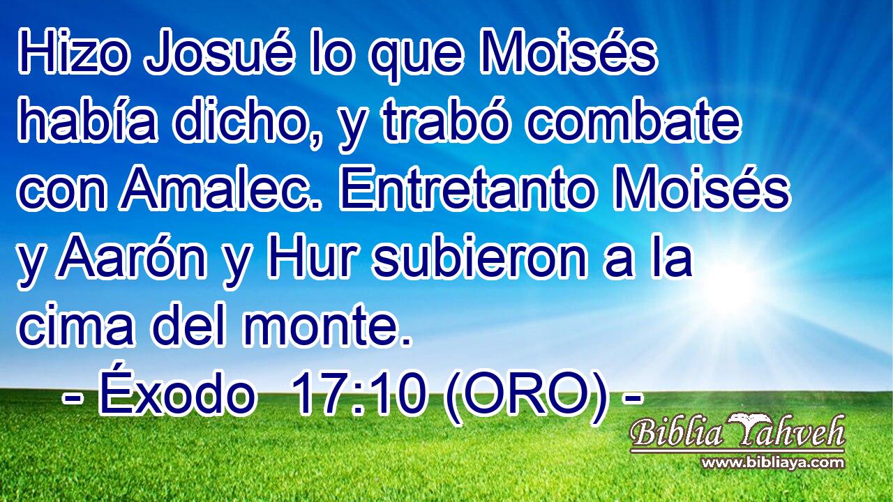  Hizo Josué lo que Moisés había dicho, y trabó combate con Amalec. Entretanto Moisés y Aarón y Hur subieron a la cima del monte. 