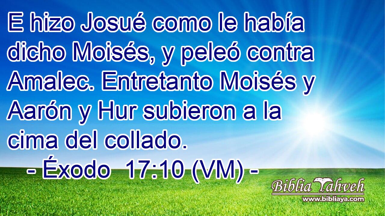  E hizo Josué como le había dicho Moisés, y peleó contra Amalec. Entretanto Moisés y Aarón y Hur subieron a la cima del collado. 
