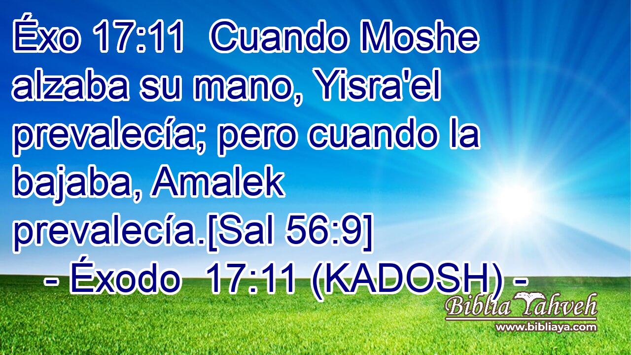  Cuando Moshe alzaba su mano, Yisra'el prevalecía; pero cuando la bajaba, Amalek prevalecía.[Sal 56:9] 