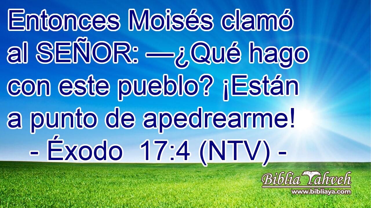 Entonces Moisés clamó al SEÑOR: —¿Qué hago con este pueblo? ¡Están a punto de apedrearme!