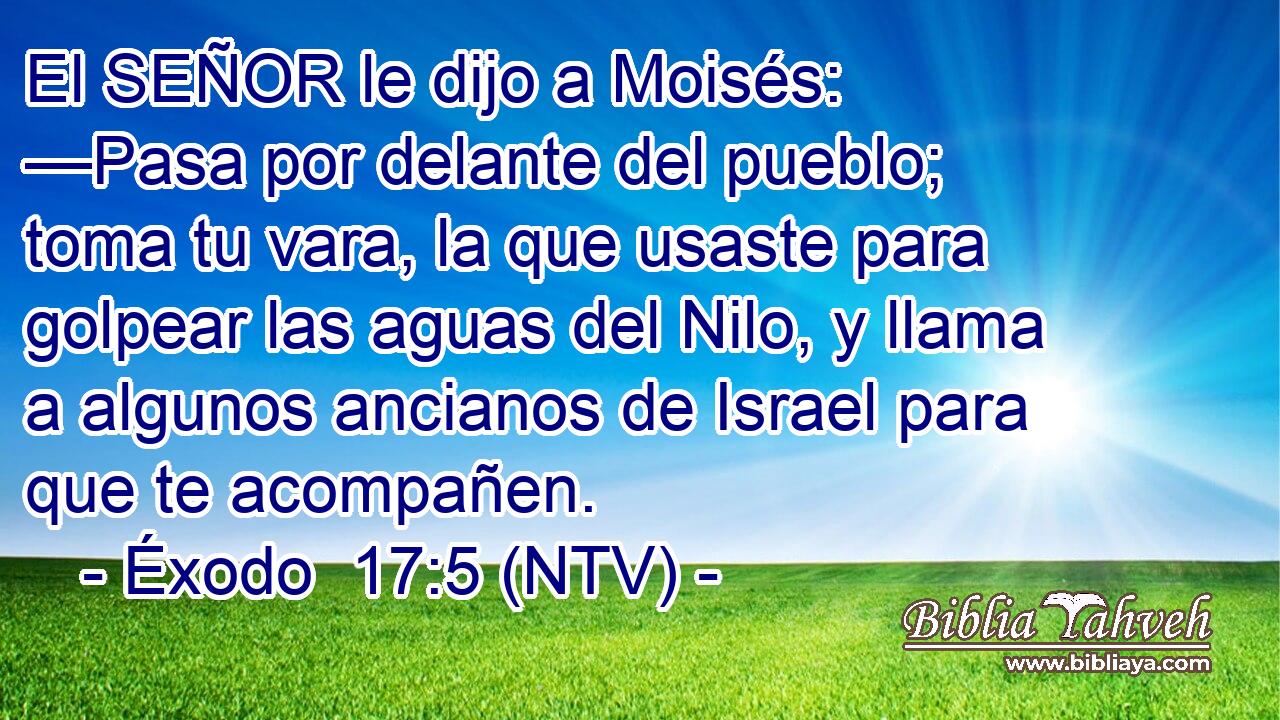 El SEÑOR le dijo a Moisés: —Pasa por delante del pueblo; toma tu vara, la que usaste para golpear las aguas del Nilo, y llama a algunos ancianos de Israel para que te acompañen.