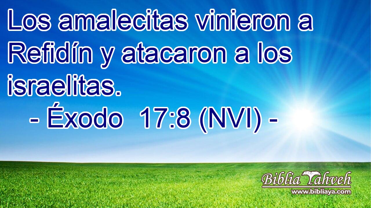  Los amalecitas vinieron a Refidín y atacaron a los israelitas. 