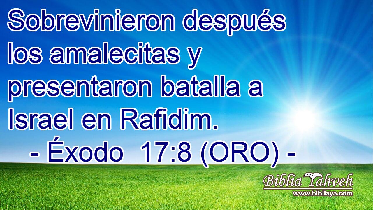 Sobrevinieron después los amalecitas y presentaron batalla a Israel en Rafidim. 