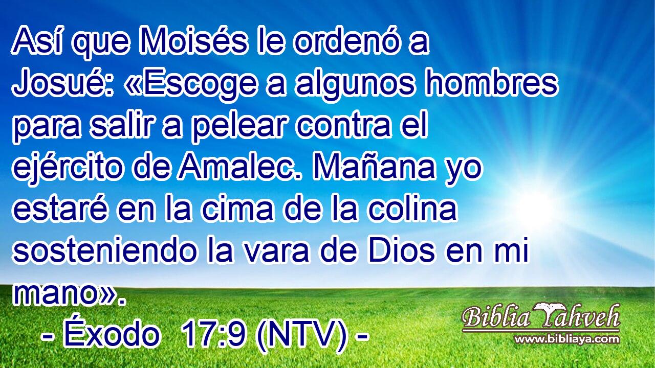 Así que Moisés le ordenó a Josué: «Escoge a algunos hombres para salir a pelear contra el ejército de Amalec. Mañana yo estaré en la cima de la colina sosteniendo la vara de Dios en mi mano».