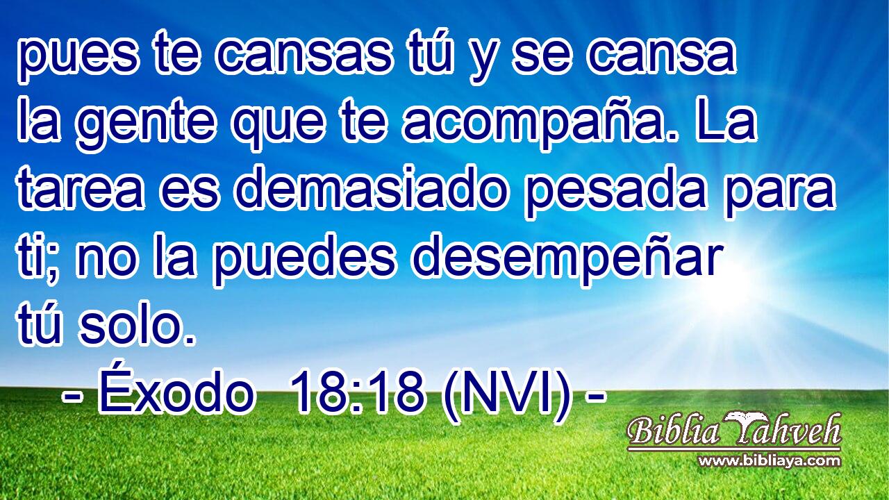  pues te cansas tú y se cansa la gente que te acompaña. La tarea es demasiado pesada para ti; no la puedes desempeñar tú solo. 