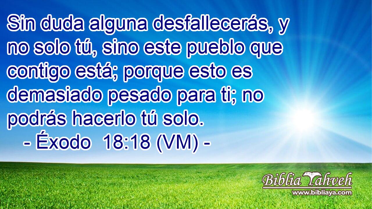  Sin duda alguna desfallecerás, y no solo tú, sino este pueblo que contigo está; porque esto es demasiado pesado para ti; no podrás hacerlo tú solo. 