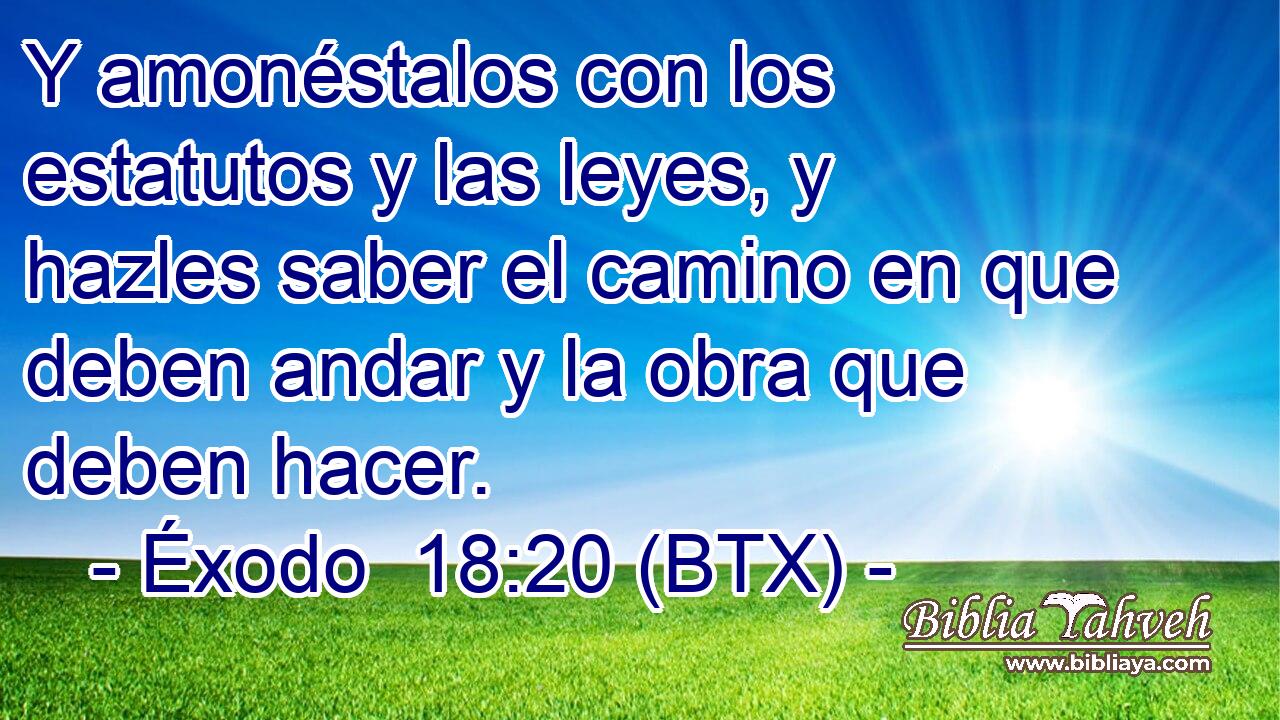 Y amonéstalos con los estatutos y las leyes, y hazles saber el camino en que deben andar y la obra que deben hacer.
