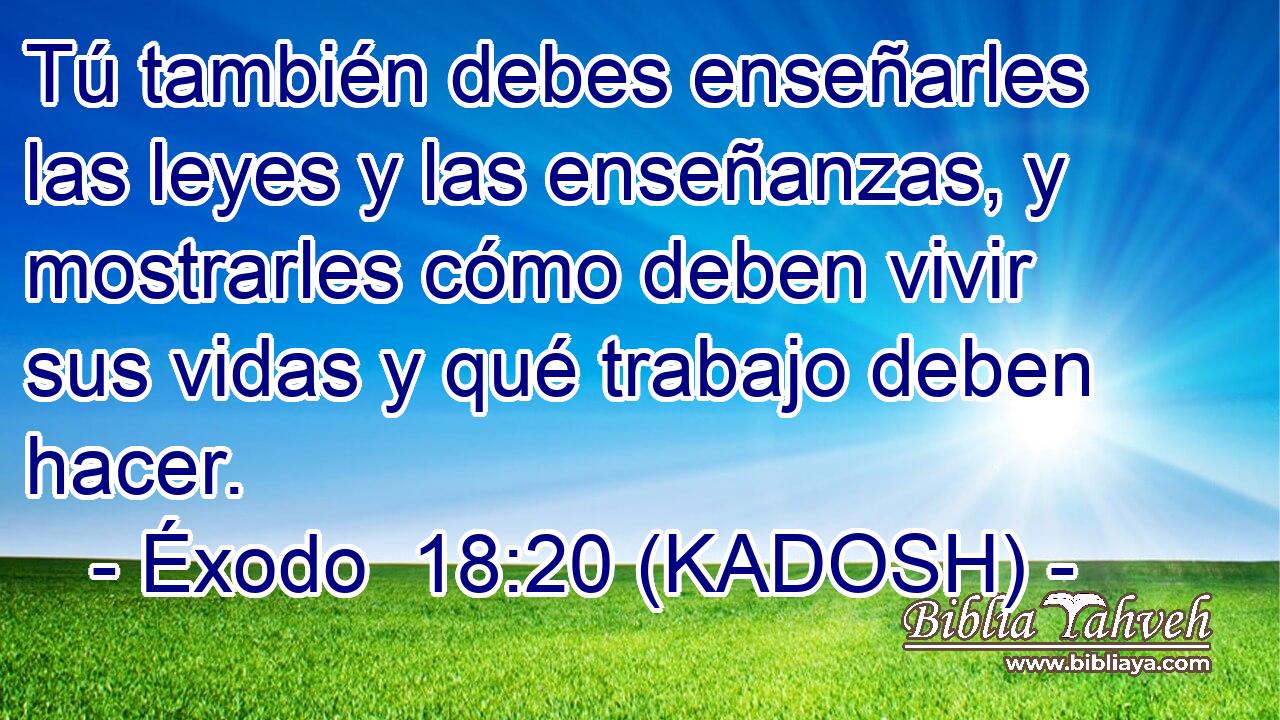  Tú también debes enseñarles las leyes y las enseñanzas, y mostrarles cómo deben vivir sus vidas y qué trabajo deben hacer. 