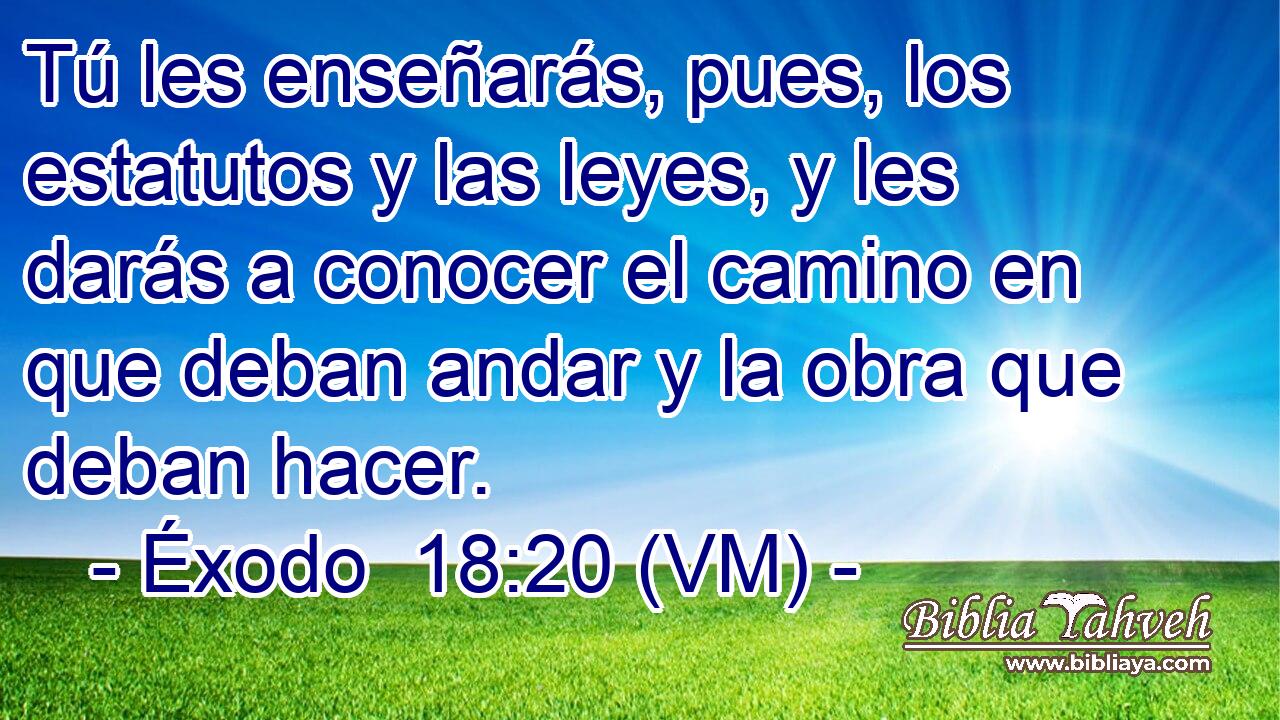xodo-18-20-vm-t-les-ense-ar-s-pues-los-estatutos-y-l